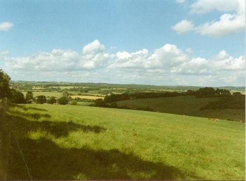 Marlborough Downs